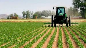 Notícia