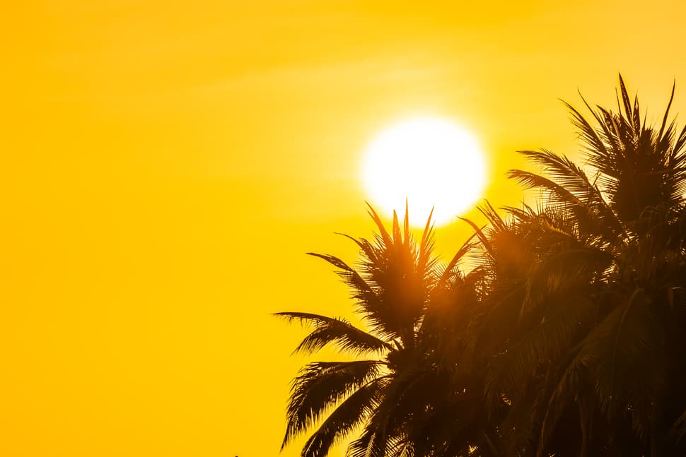 Notícia