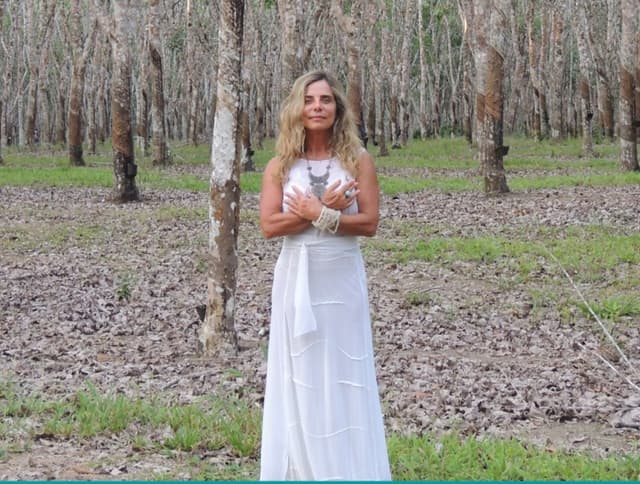 Notícia