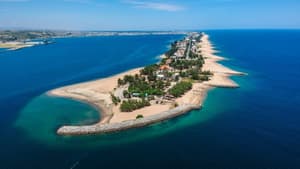 Notícia