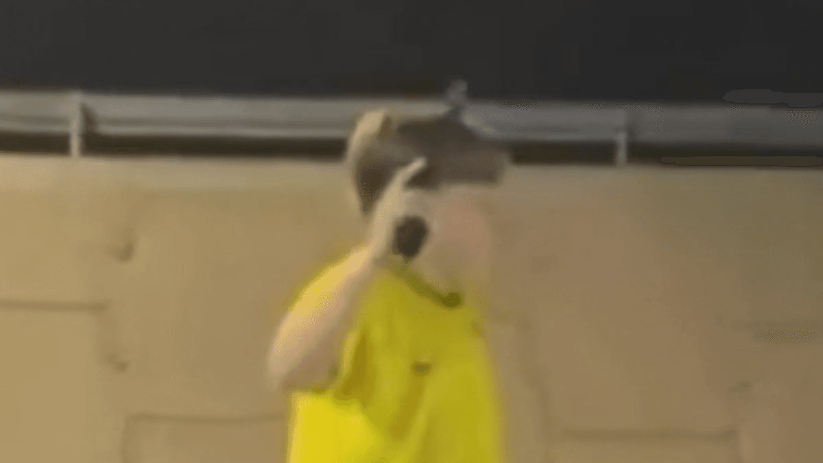 Notícia