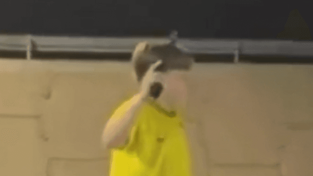 Notícia