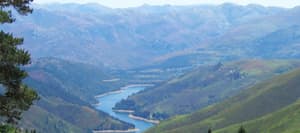 Notícia