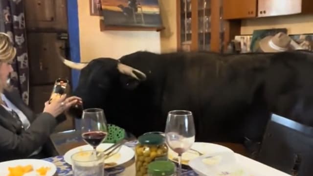 Notícia