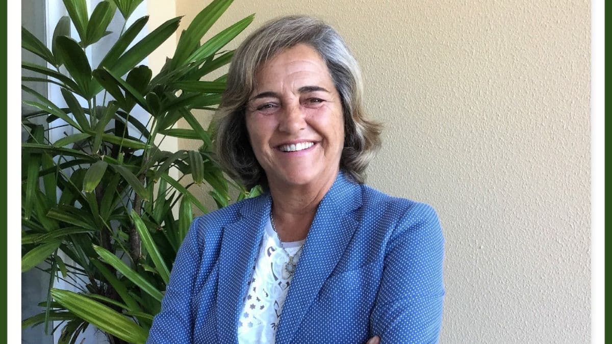 Notícia
