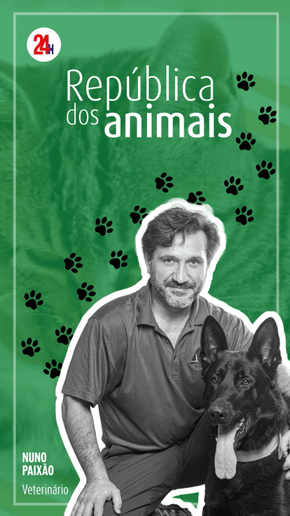 República dos Animais