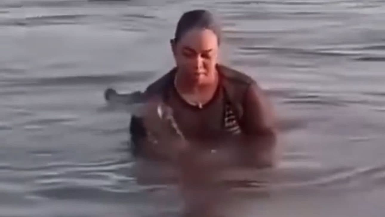 Notícia