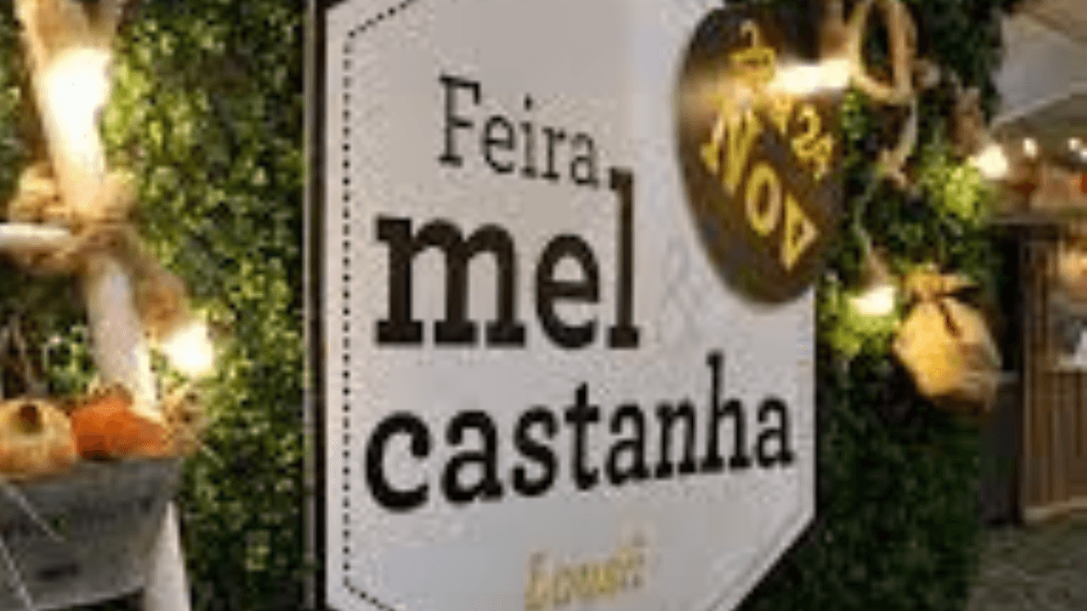 Notícia