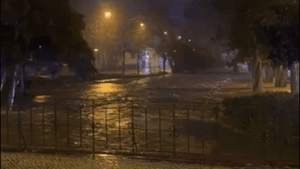 Notícia