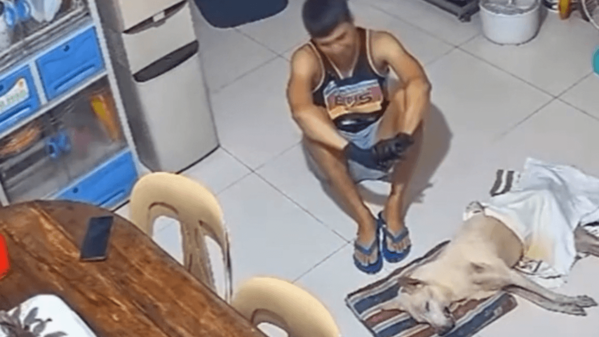 Notícia