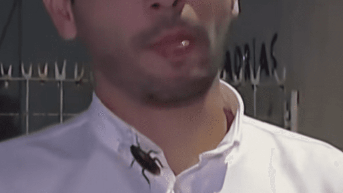 Notícia