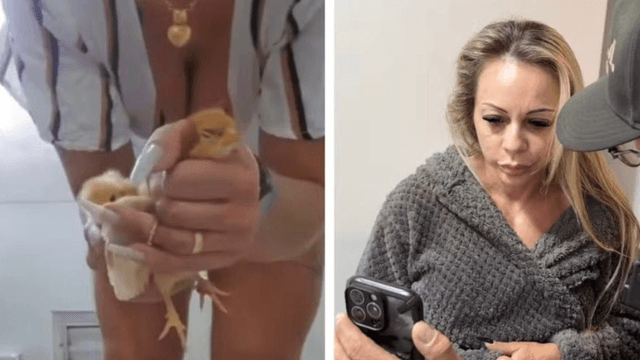 Notícia